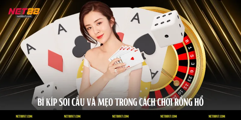 Bí kíp soi cầu và mẹo trong cách chơi rồng hổ