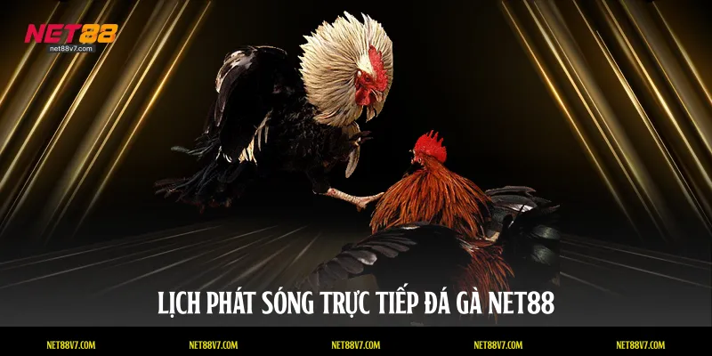 Lịch phát sóng trực tiếp đá gà NET88