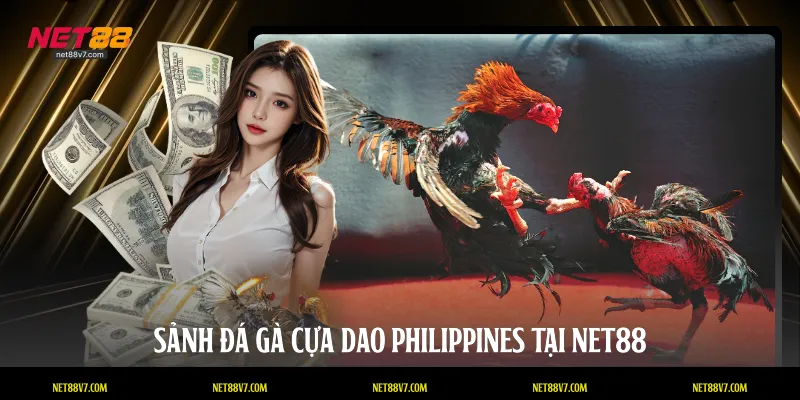 Sảnh đá gà cựa dao Philippines tại NET88